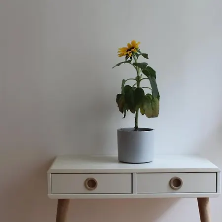 Daire 6er Familienurlaub Im City-center X Kulturbrauerei Berlin