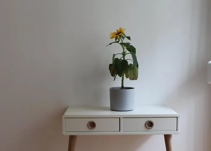 公寓 6er Familienurlaub Im City-center X Kulturbrauerei 柏林